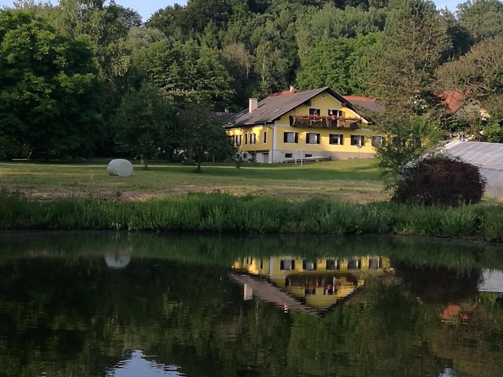 Příroda nedaleko bed and breakfast