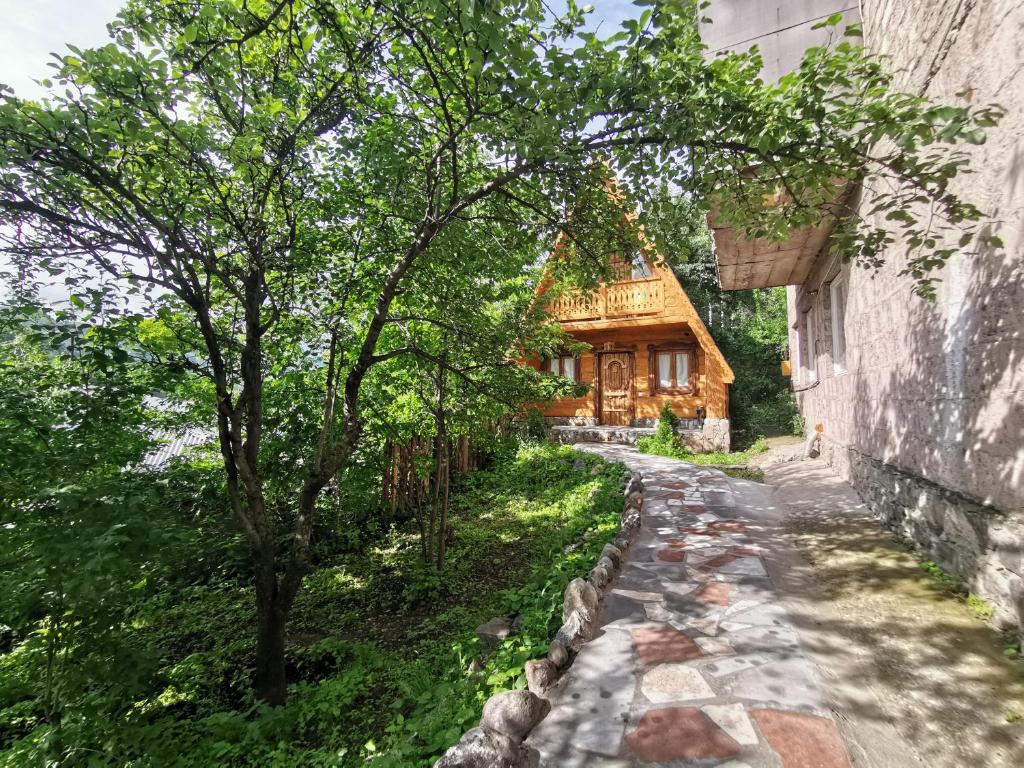 Zahrada ubytování Old Dili