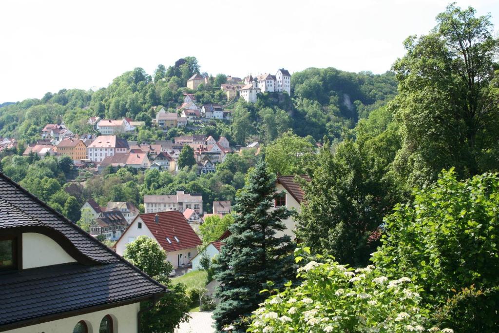 a town on a hill with houses and trees at Maison au soleil in Egloffstein