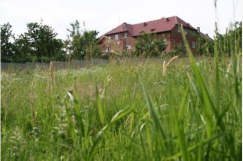 Ogród w obiekcie Motel u Olka Boczów