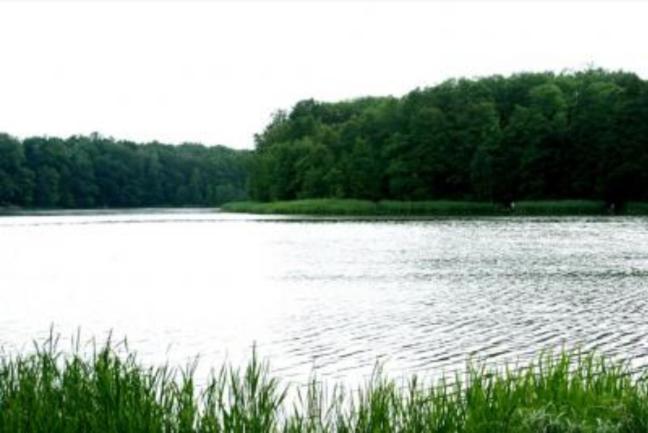 Przyroda w pobliżu tego motelu