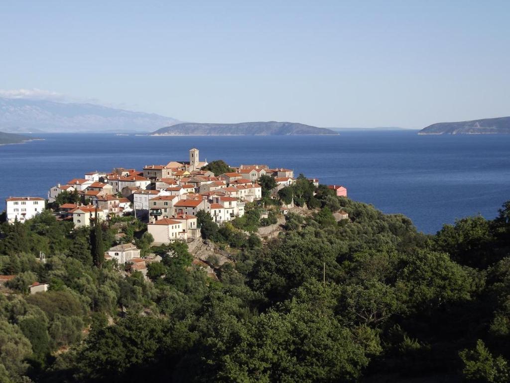 a village on a hill in the middle of the water at Villa Frane 101 in Beli