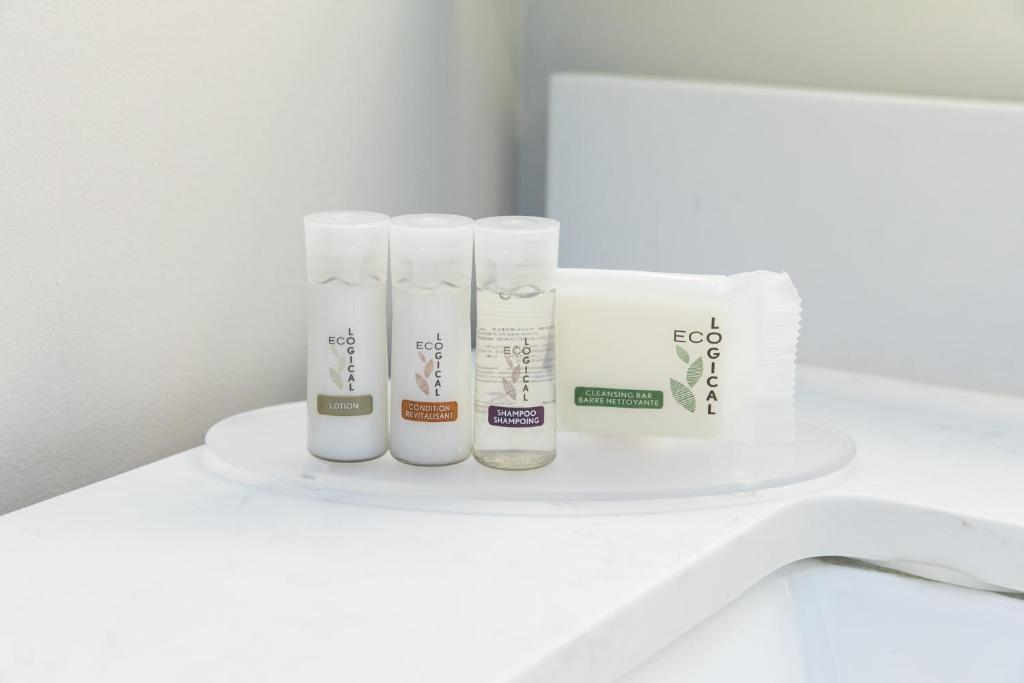 Days Inn by Wyndham Toronto West Mississauga - Resim 28