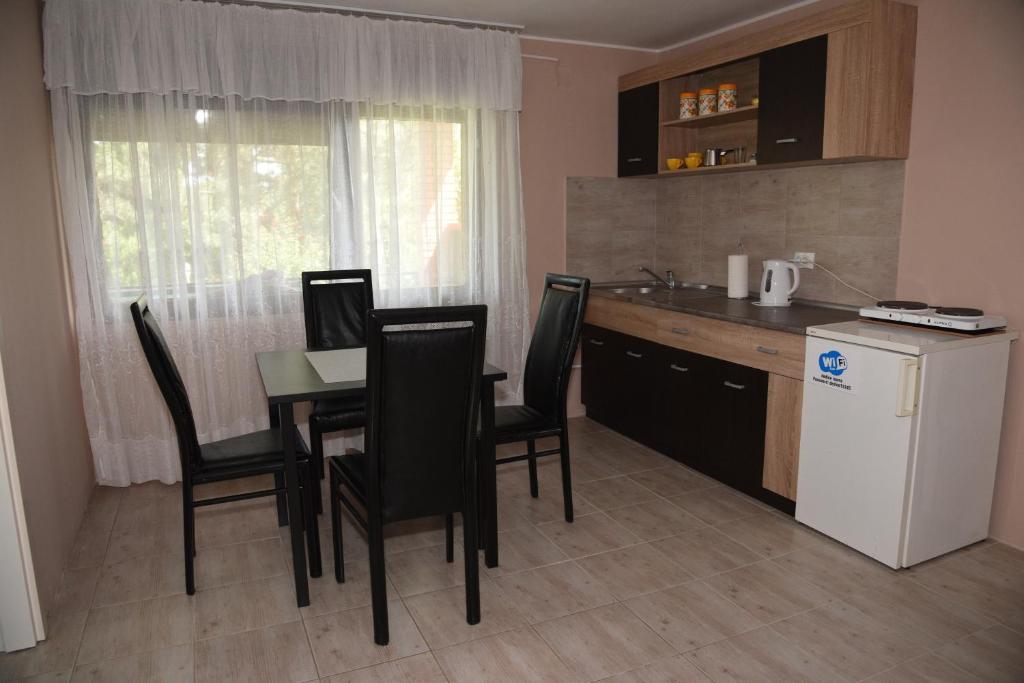 Kuhinja ili čajna kuhinja u objektu Apartment Dedine Golubac
