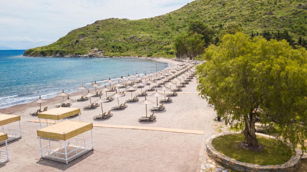 a beach with chairs and umbrellas and the ocean at Club Marma Hotel in Akyarlar
