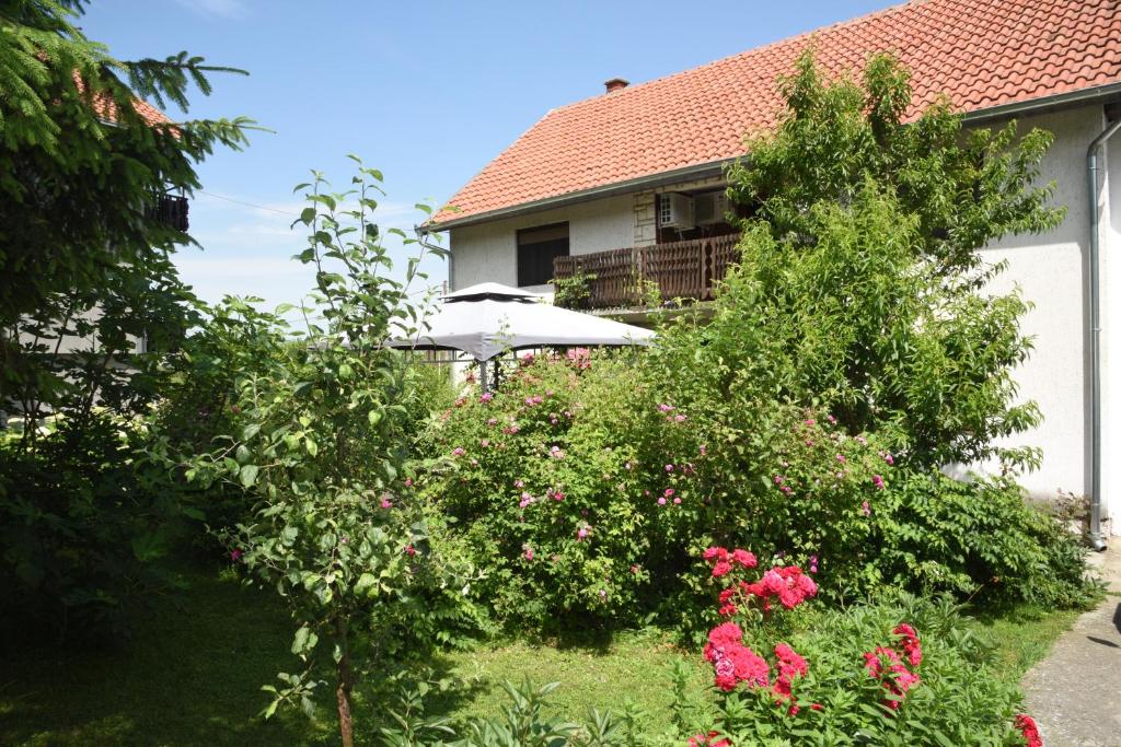 Vrt ispred objekta Apartment Dedine Golubac