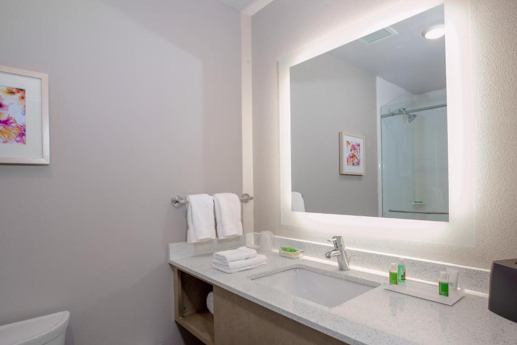Holiday Inn - Tallahassee E Capitol - Univ, an IHG Hotel - Standaard King Room