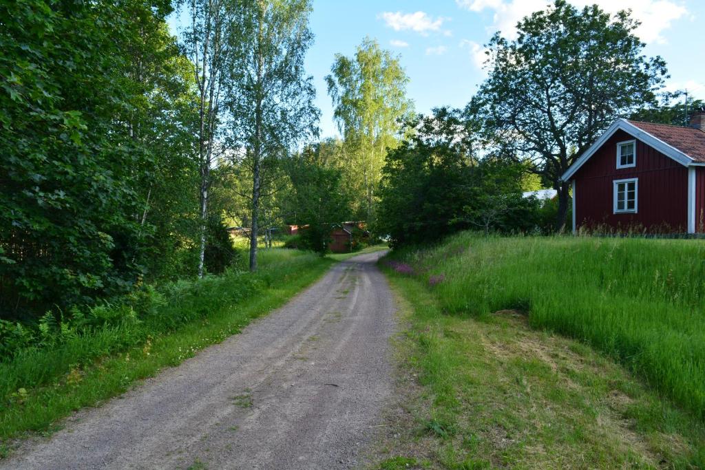 Příroda nedaleko chaty
