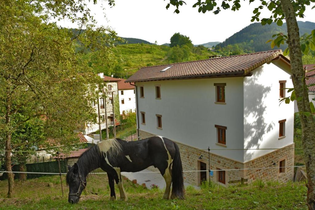 Zvířata v hostelu nebo okolí