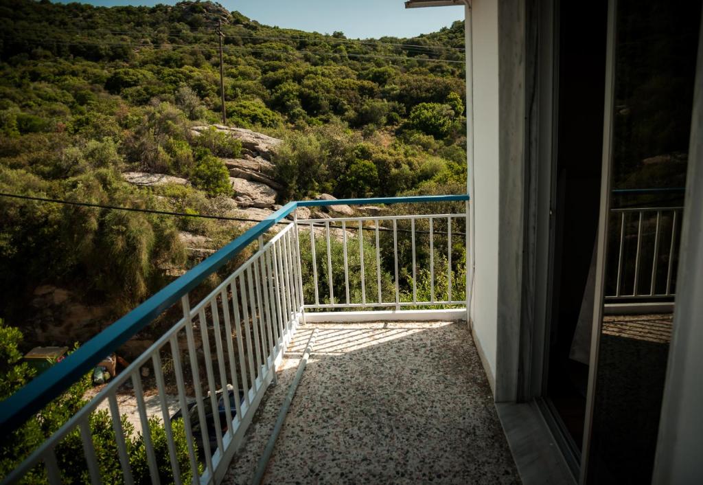Príroda v okolí apartmánu