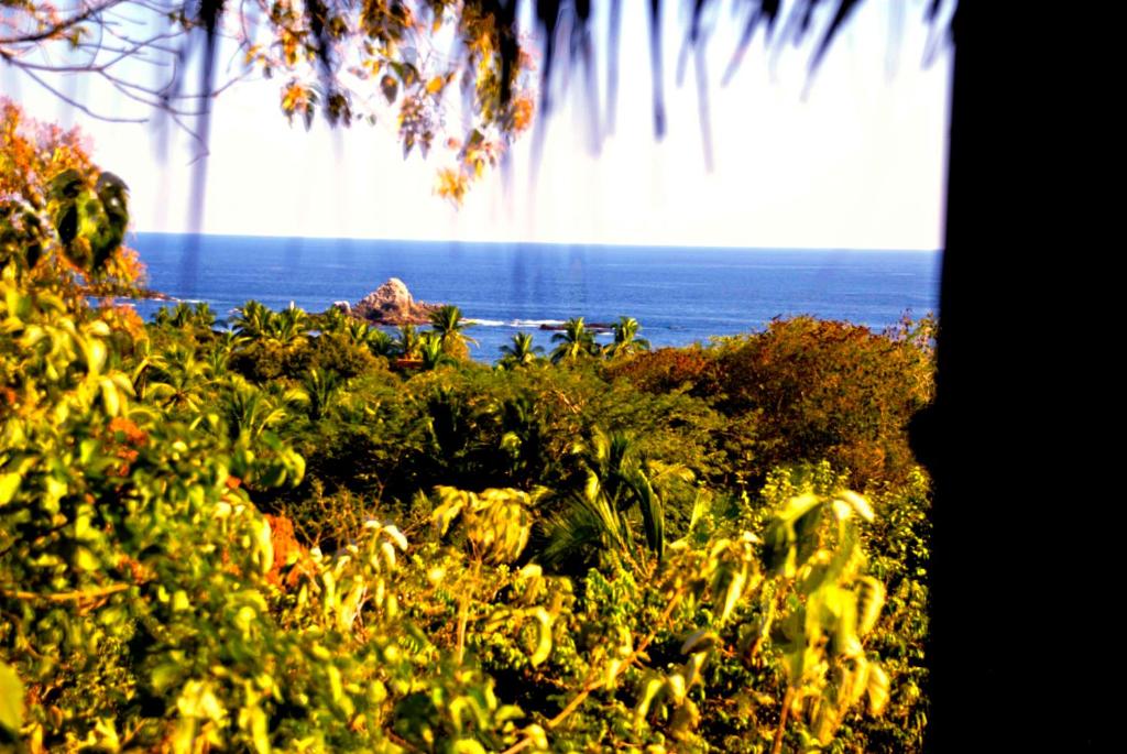 uma vista para o oceano a partir de uma janela com uma cascata em Villa Luna de Miel em Mazunte