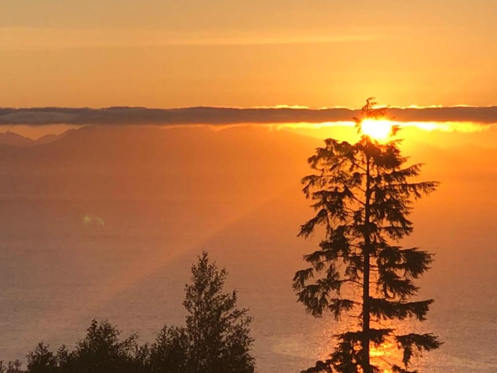 una puesta de sol con un árbol delante del océano en Ocean Melody Vacation Rooms, en Nanaimo