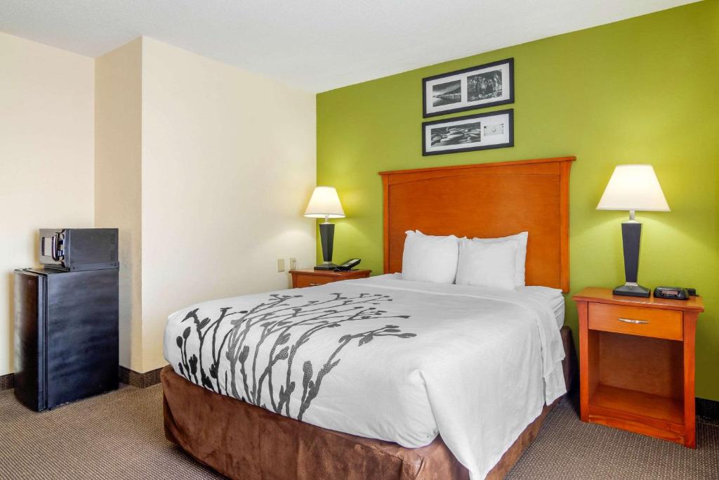 Sleep Inn Macon I-75 - Salle Queen - Accessible / Non-fumeur
