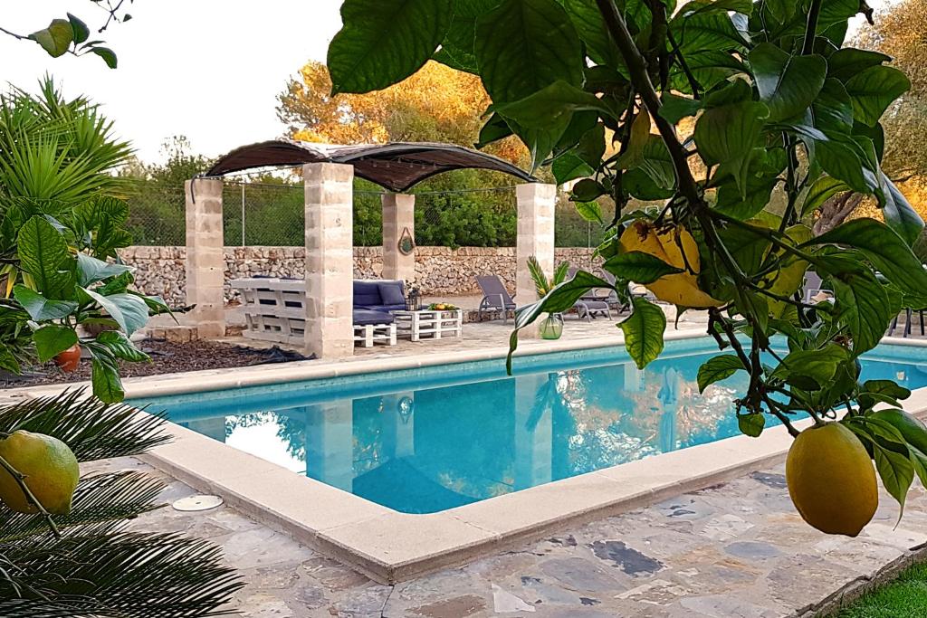 Bazén v ubytování Finca Isabel y Guillermo con posibilidad de piscina climatizada nebo v jeho okolí