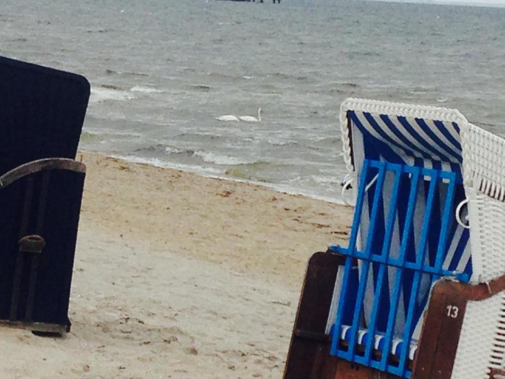 einem blauen und weißen Stuhl am Strand in der Unterkunft Blaumuschel Lubmin, Wohnung 9 in Lubmin