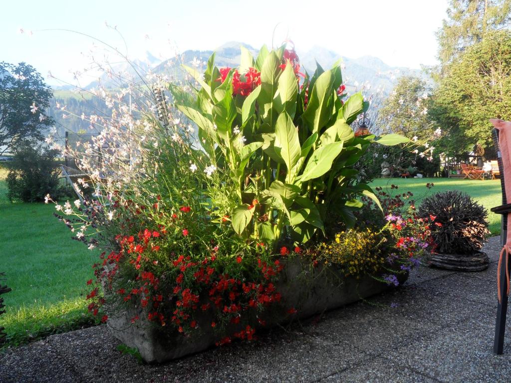 A garden outside Sportpension Thayer