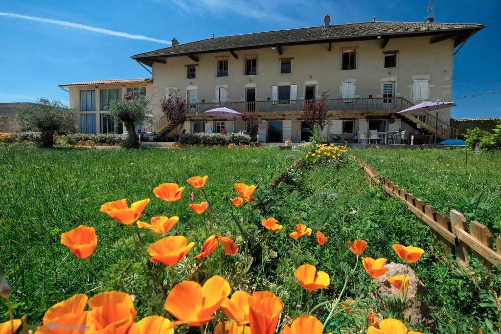 a field of orange flowers in front of a building at Le Domaine in La Chapelle-de-Guinchay