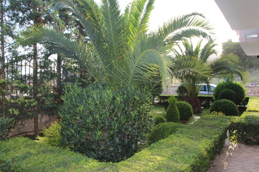 Vila Mateo