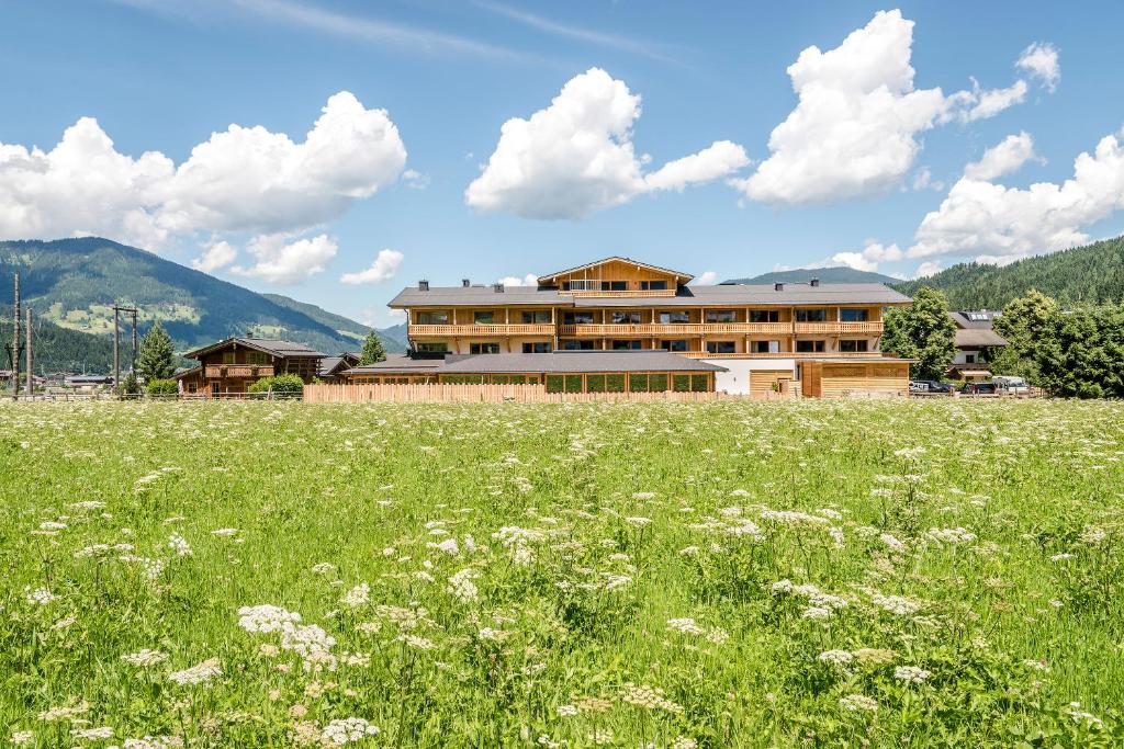 Nespecifikovaný výhled na hory nebo výhled na hory při pohledu z hotelu