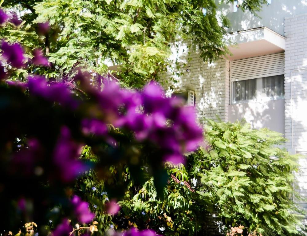 Zahrada ubytování Hotel Nutibara
