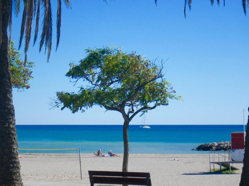 een boom op een strand met een bank bij Appt 5 pax terrasse vue Plage. LOCAMAR. Cuchi in Cambrils