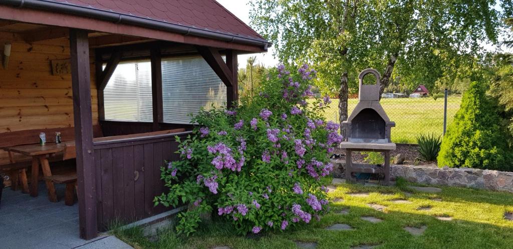 a bush with purple flowers next to a building at Dom W Skowronkach in Sasino