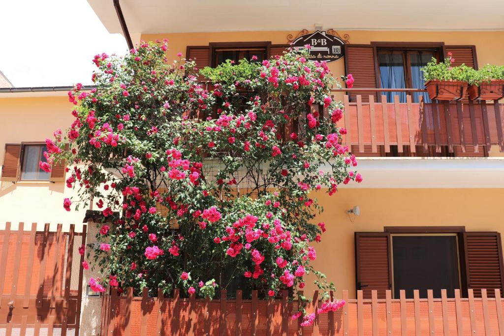 a building with pink flowers on a balcony at B&B A Casa di Nonna in Massa dʼAlbe