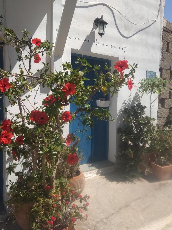 Fotografie z fotogalerie ubytování Chez Cécile Home v destinaci Mochlos