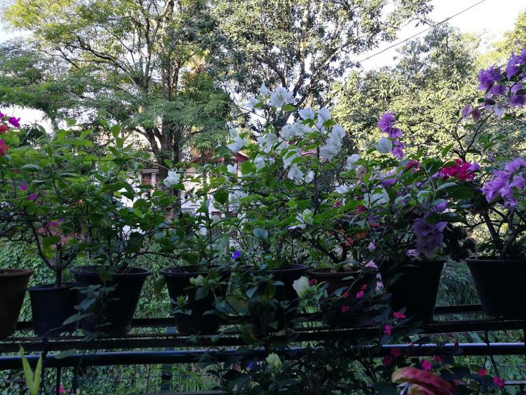 Kandy Inn Madugalle’s family guest house - 19