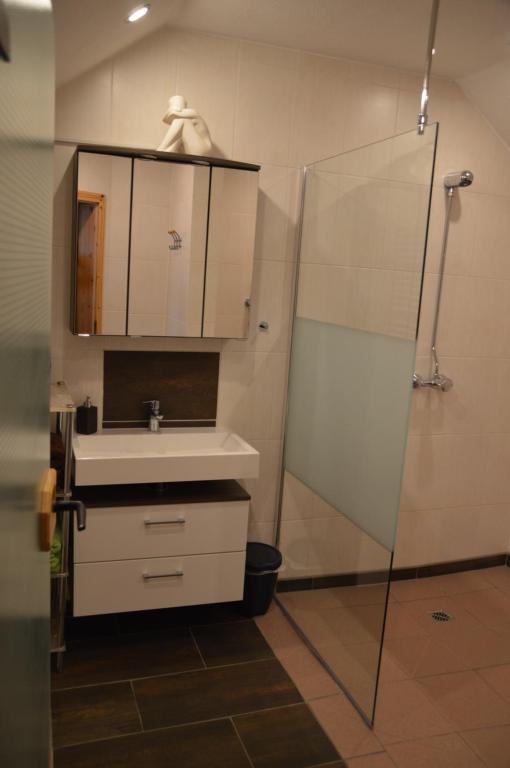 a bathroom with a sink and a shower at Ferienhaus Am Park in Löbnitz