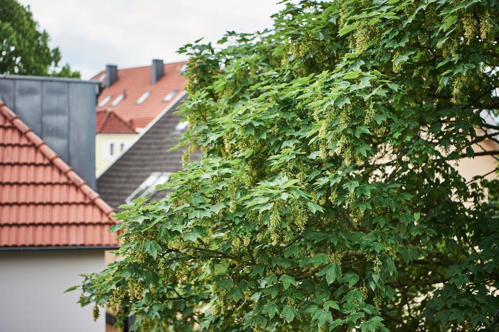 Budova, kde se aparthotel nachází