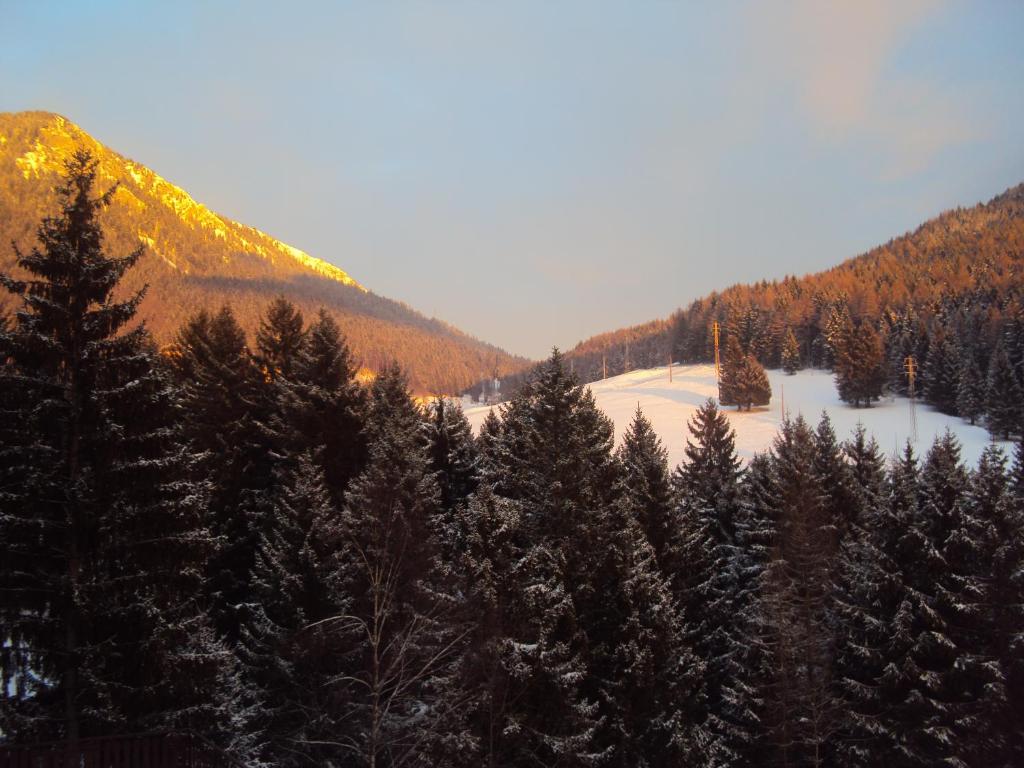Hotel Des Alpes - Chambre Triple Avec Balcon Et Vue Sur Montagne