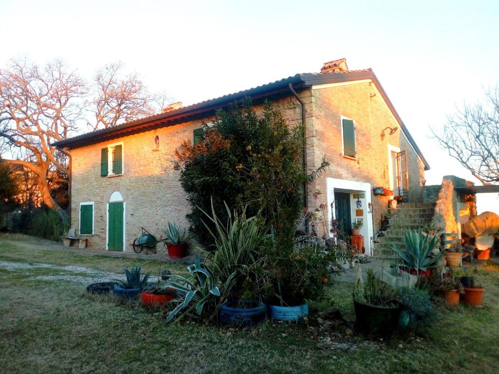 una casa con un montón de plantas delante de ella en la cana dolce, en Bertinoro