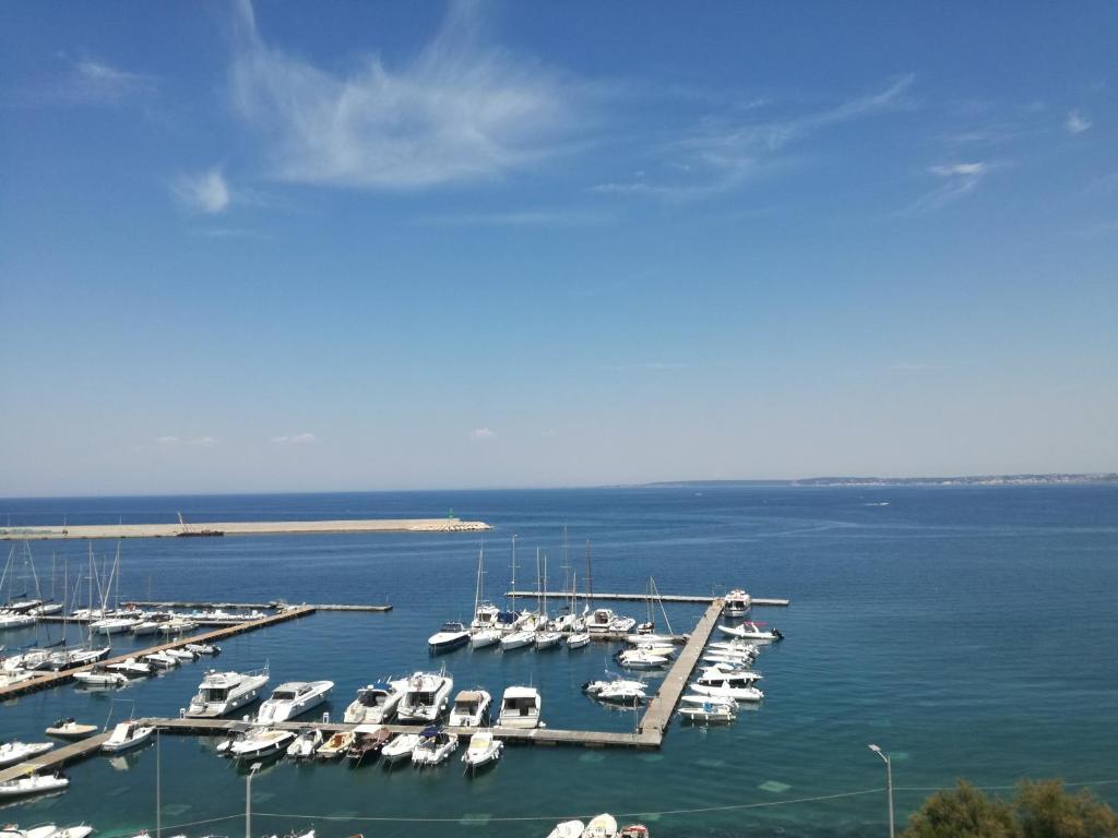 le terrazze sul mare gallipoli centro - 13