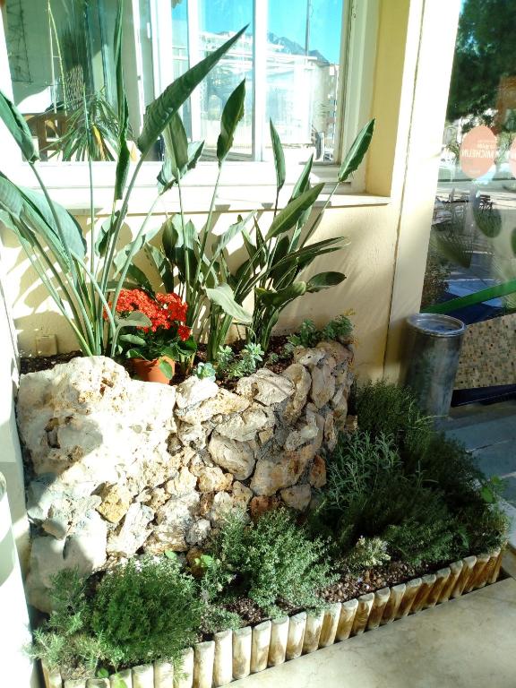 Zahrada ubytování Hôtel Alexandra