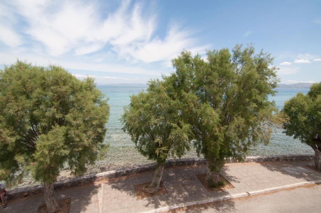 three trees on a wall near the water at Nautilus Nontas Hotel in Megalochori
