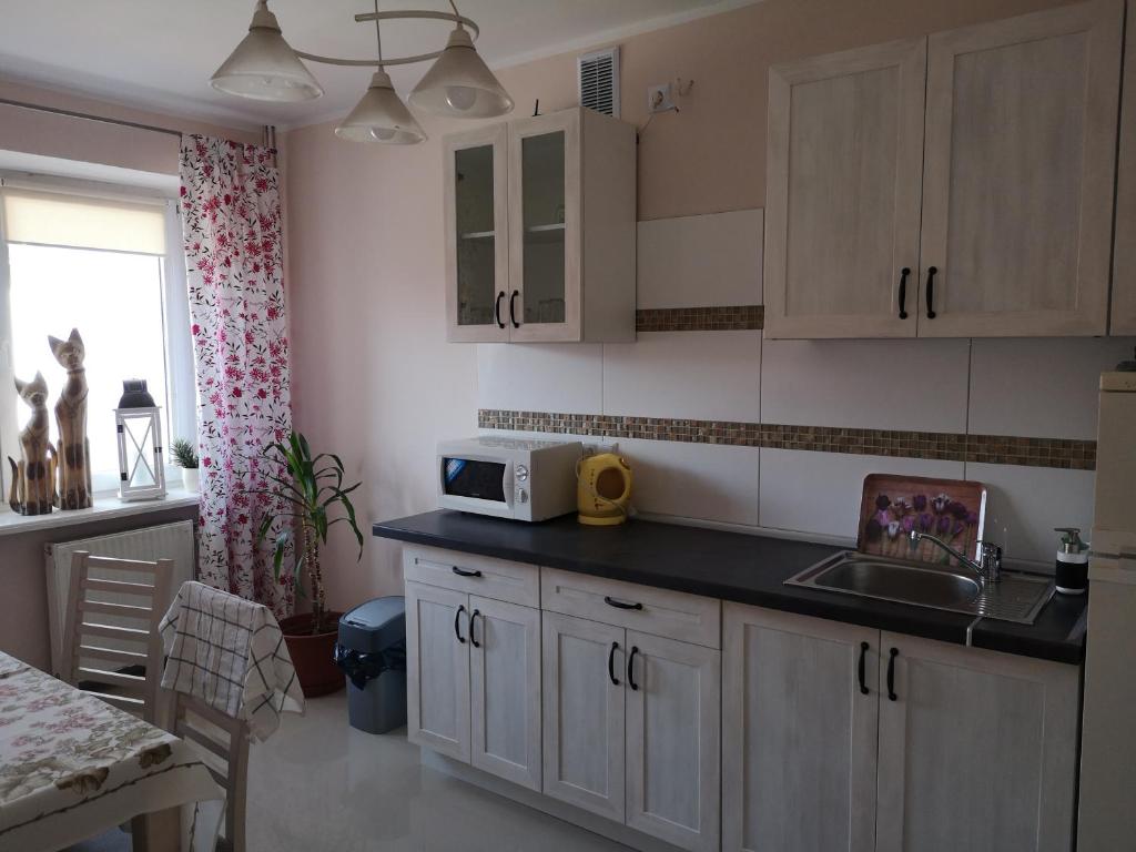Kuchyňa alebo kuchynka v ubytovaní Apartamenty Hejszowina