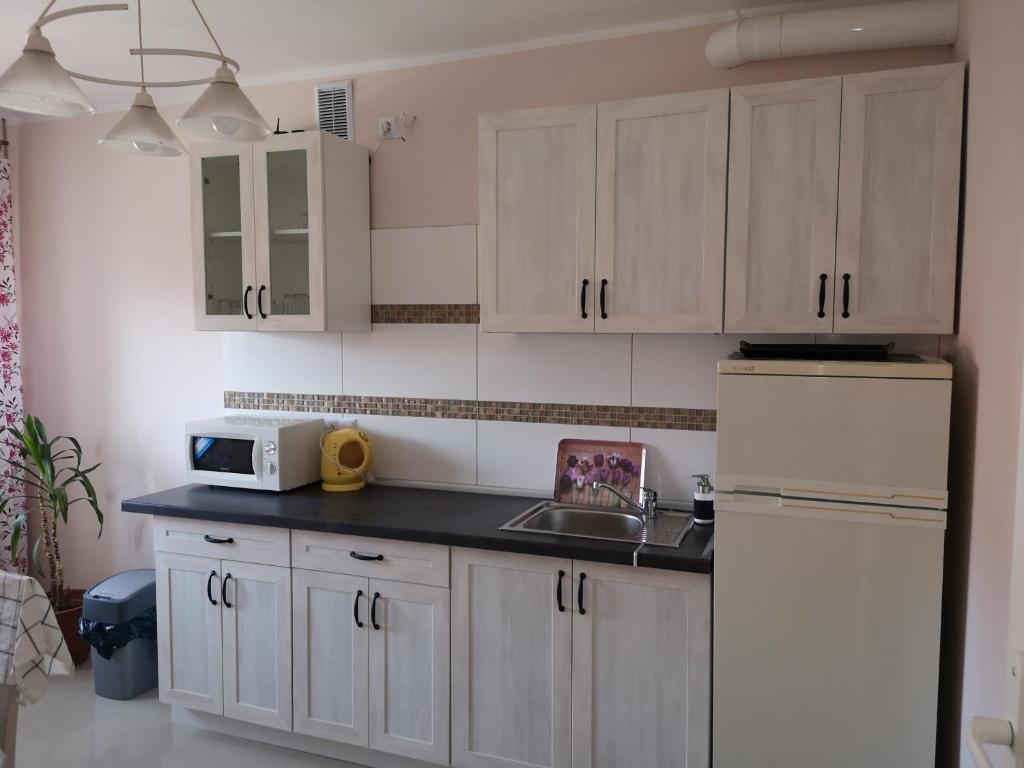 Kuchyňa alebo kuchynka v ubytovaní Apartamenty Hejszowina