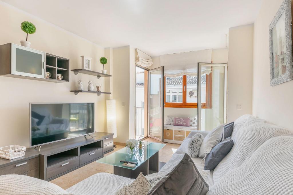 TV a/nebo společenská místnost v ubytování Can Jaume Apartment