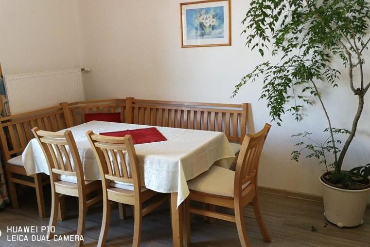 tavolo e sedie con tavolo e pianta di Bio-Bauernhof Greiml a Gröbming