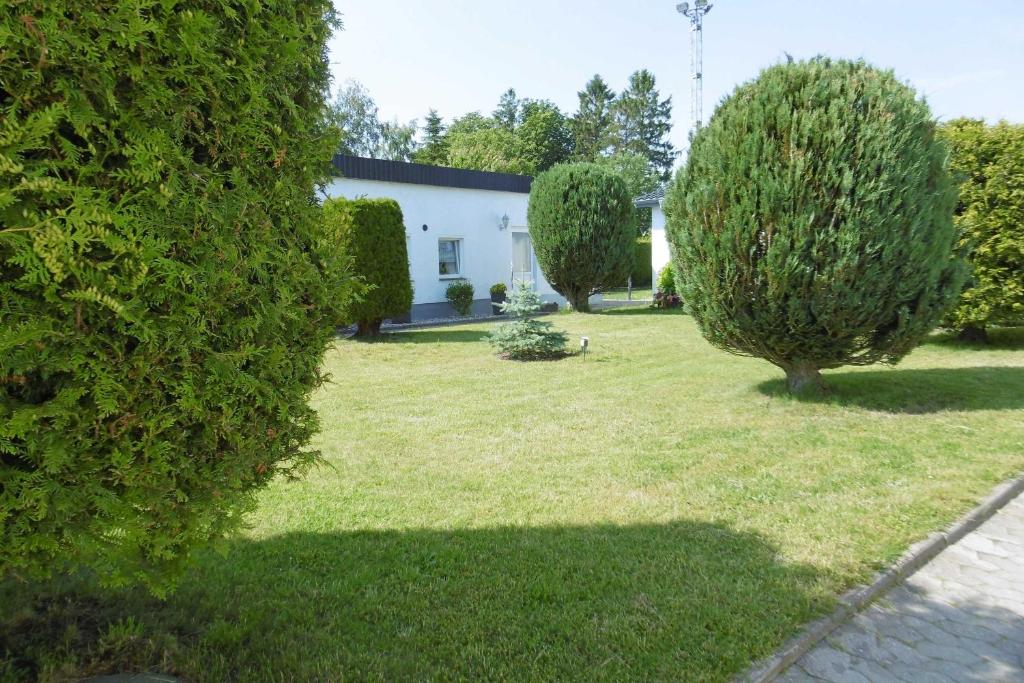 a yard with two large trees and a building at Ruegen_Fewo 67_1 in Thesenvitz