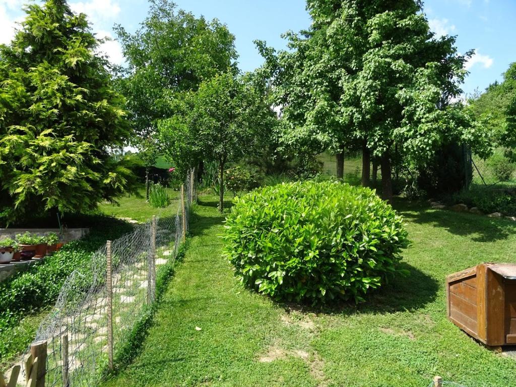 Zahrada ubytování St. Rita Guesthouse