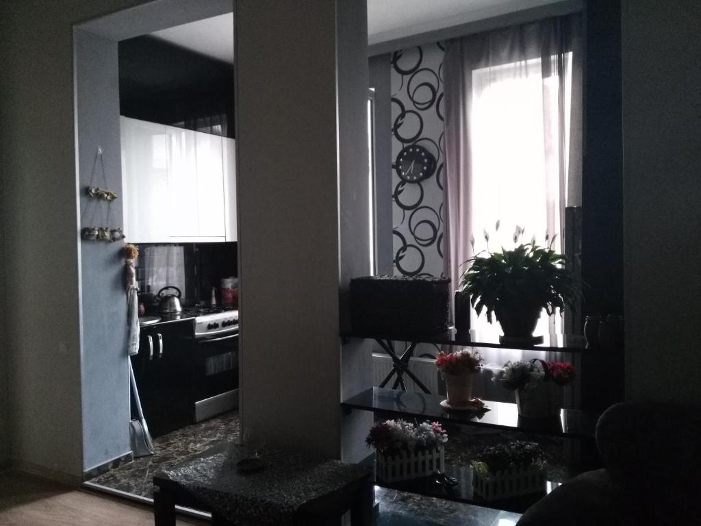 TV a/nebo společenská místnost v ubytování Guest House Gelit