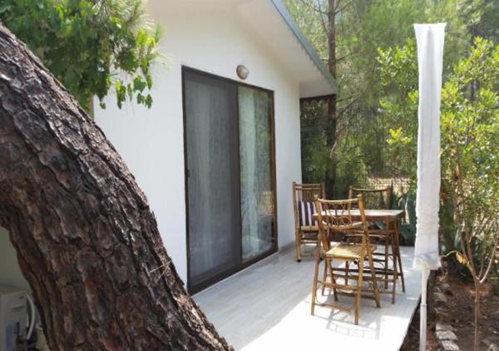Zahrada ubytování Adrasan Şekerbahçe Otel
