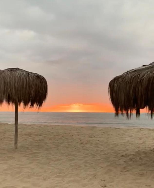 Palmeras de Bocapan, Tumbes