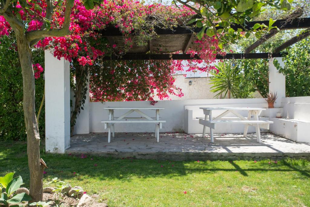 Vonkajšia záhrada v ubytovaní Casara Dos - 2 Dormitorios - Torre con Acceso Privado a la Playa de Zahora