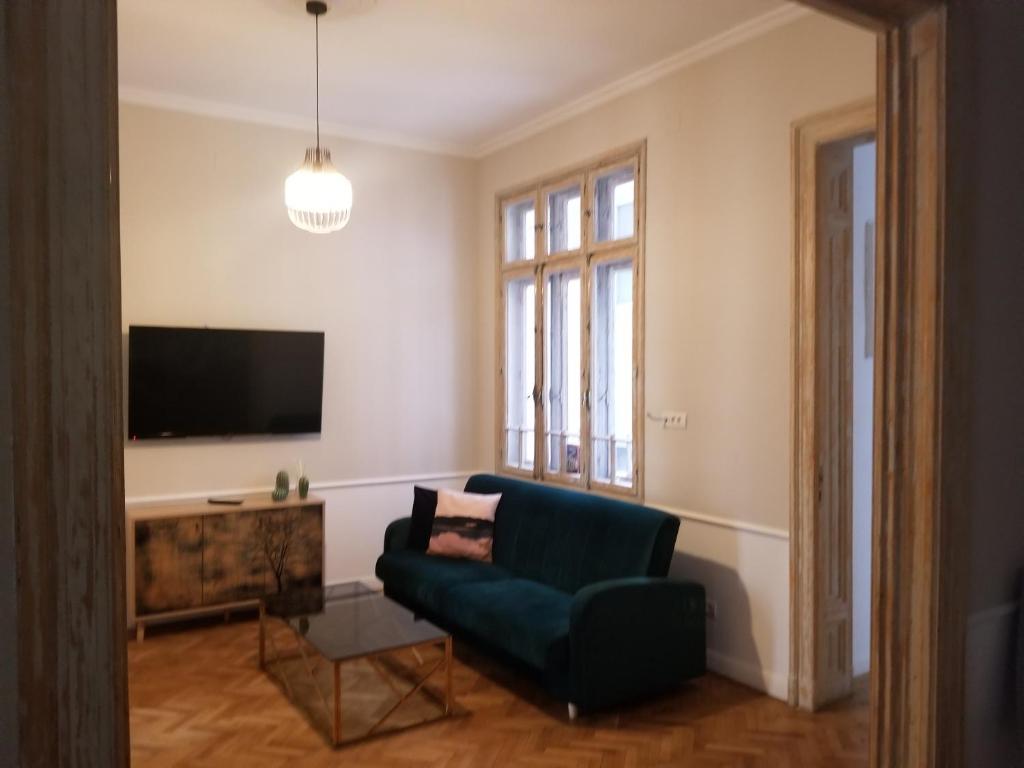 TV a/nebo společenská místnost v ubytování Lascăr Catargiu Vila