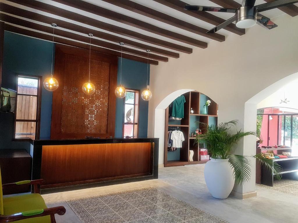 Fotografie z fotogalerie ubytování Hotel Holly v destinaci Mérida