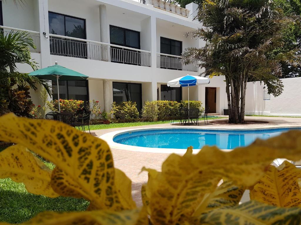 Bazén v ubytování Hotel Holly nebo v jeho okolí