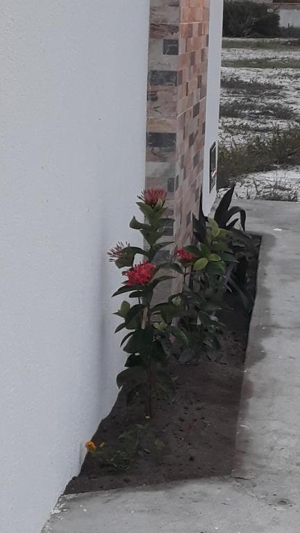  Solar das Sabiás